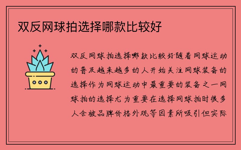 双反网球拍选择哪款比较好