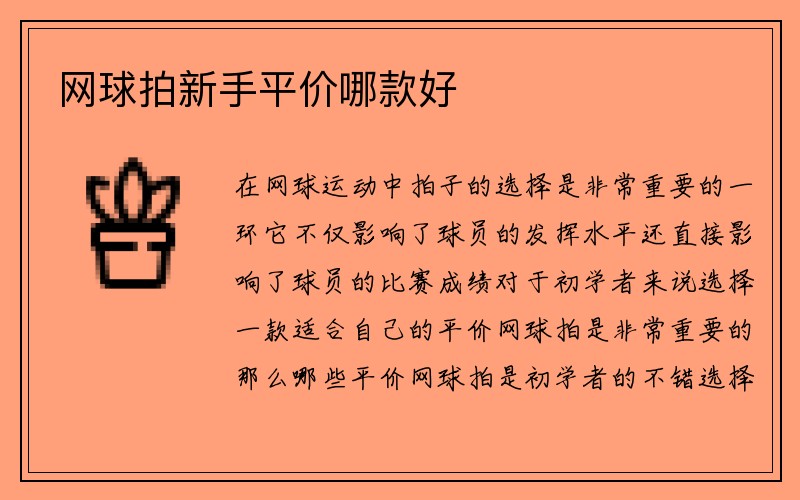 网球拍新手平价哪款好