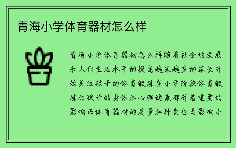 青海小学体育器材怎么样