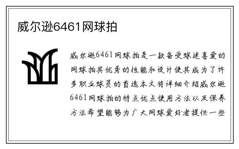 威尔逊6461网球拍