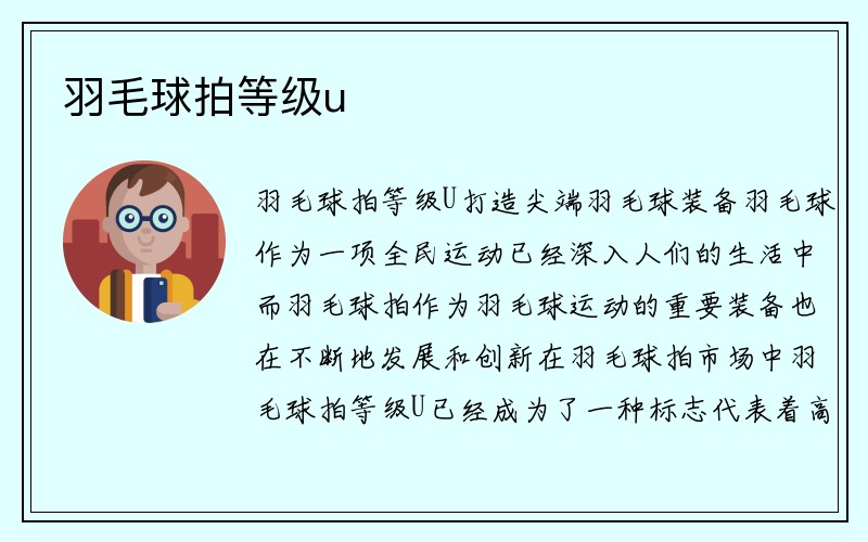 羽毛球拍等级u